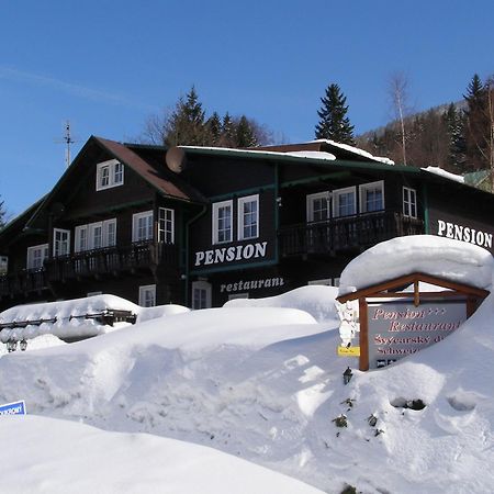 Pension Svycarsky Dum Spindleruv Mlyn Exterior photo