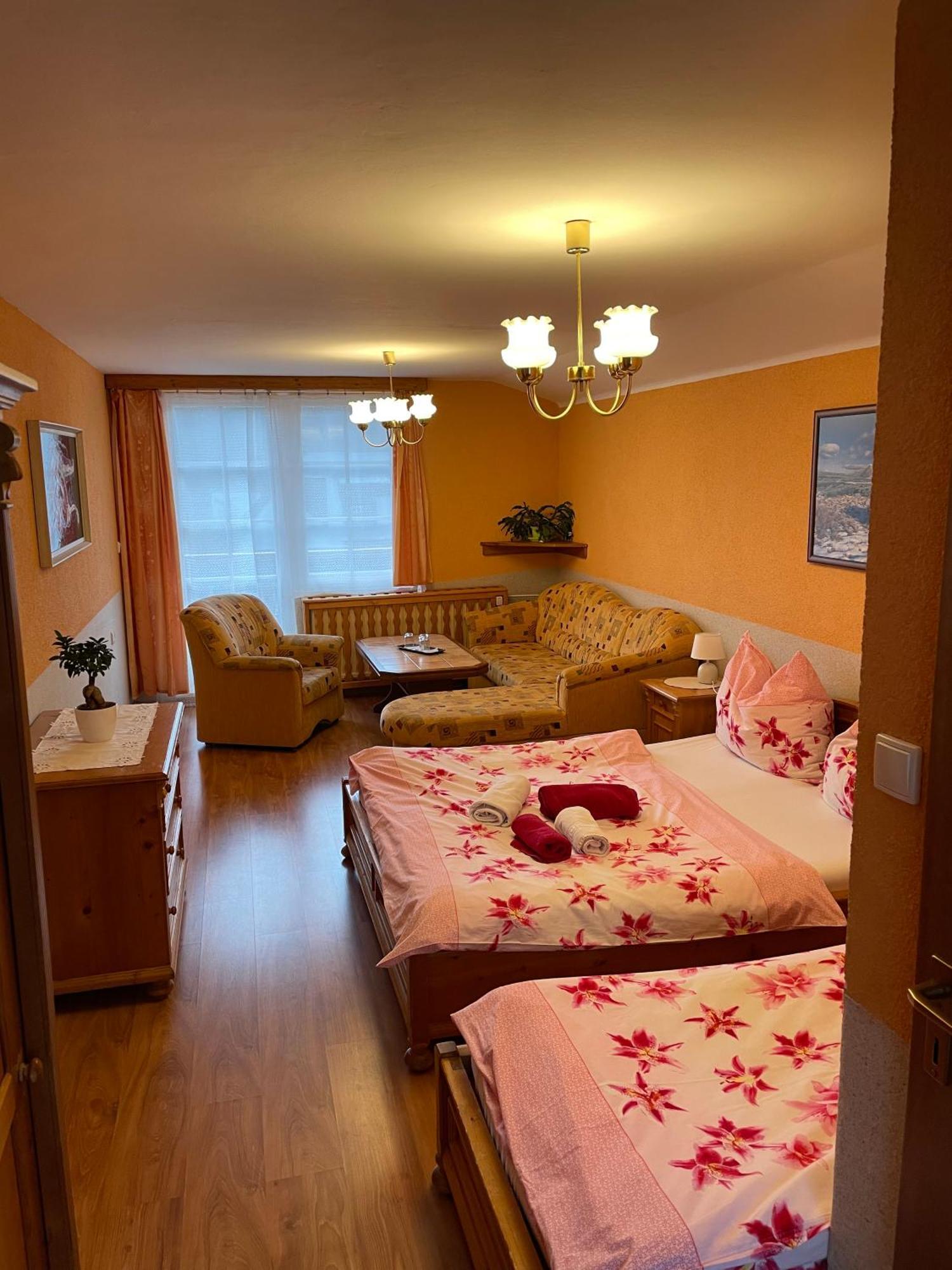 Pension Svycarsky Dum Spindleruv Mlyn Exterior photo